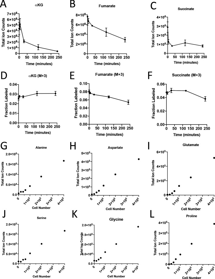 Figure 3—figure supplement 1.