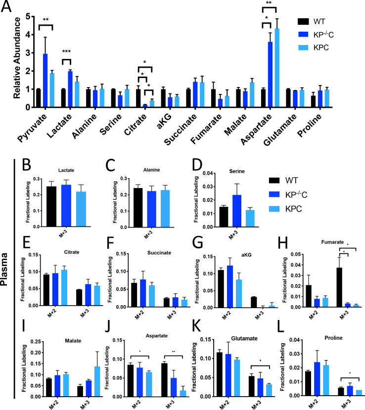 Figure 1—figure supplement 1.