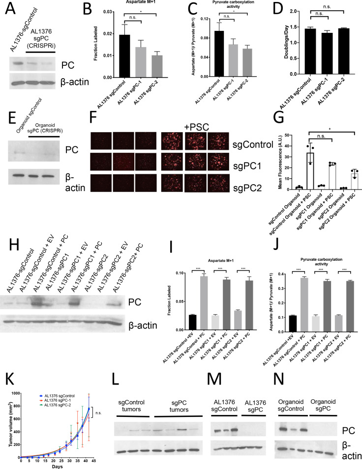 Figure 6—figure supplement 1.