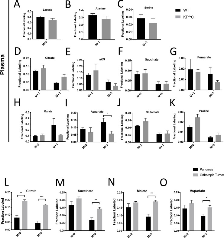 Figure 1—figure supplement 3.