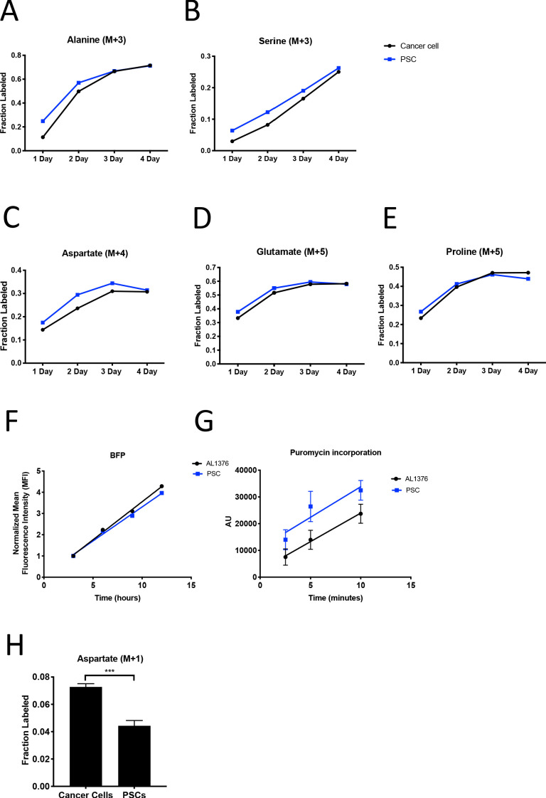 Figure 4—figure supplement 1.