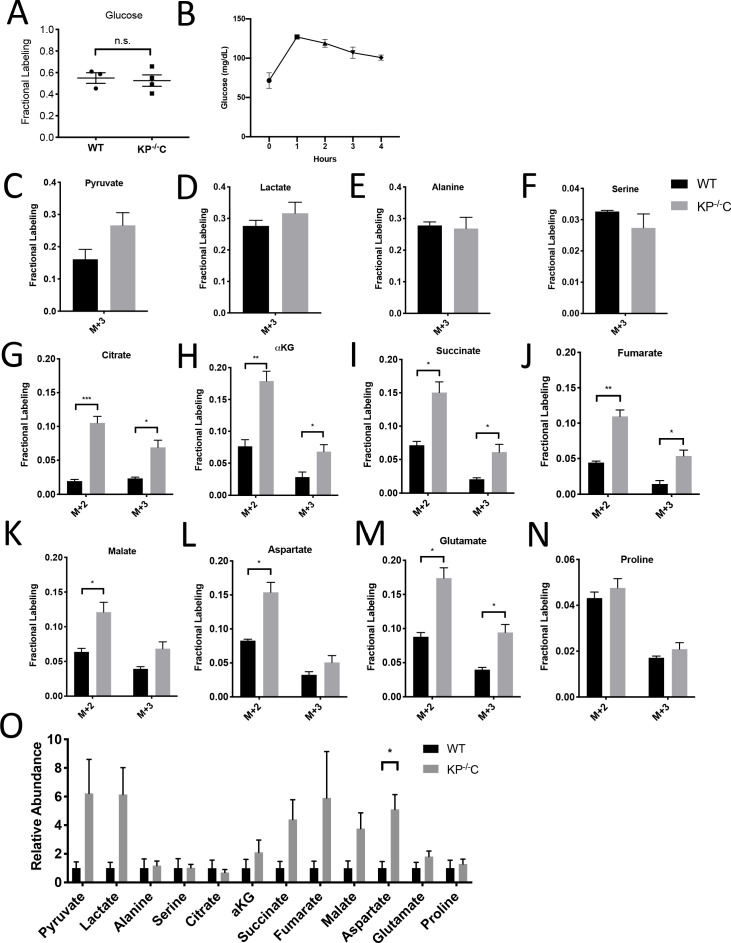 Figure 1—figure supplement 2.