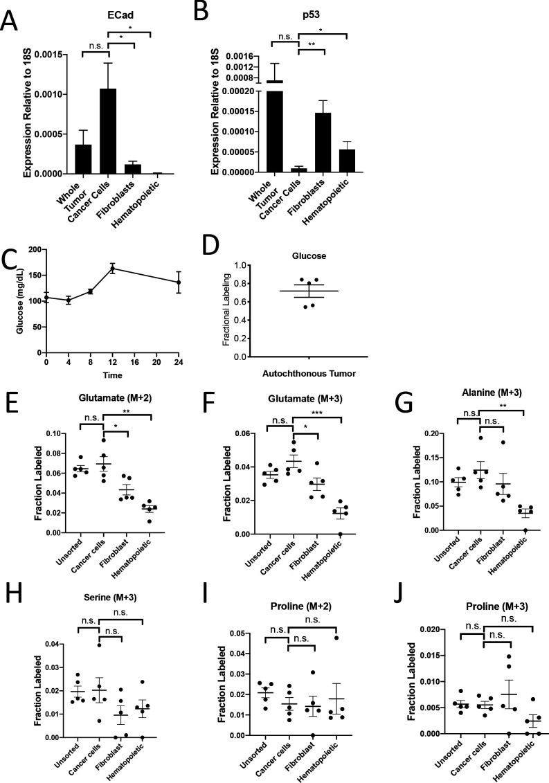 Figure 5—figure supplement 1.