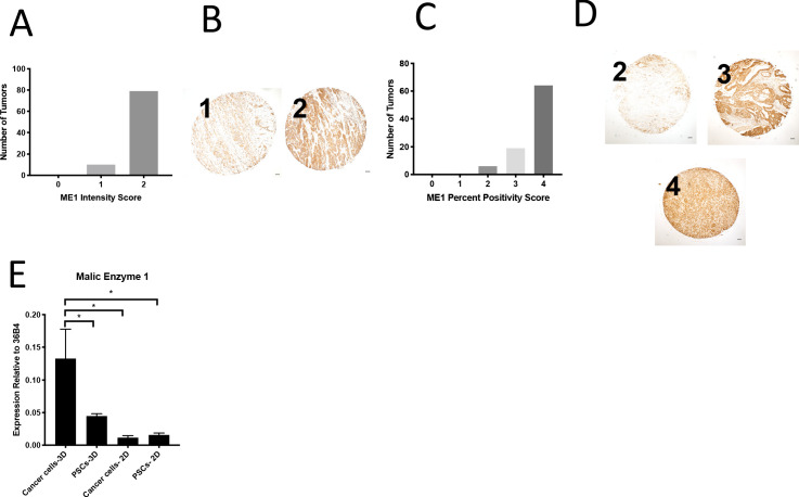 Figure 7—figure supplement 2.