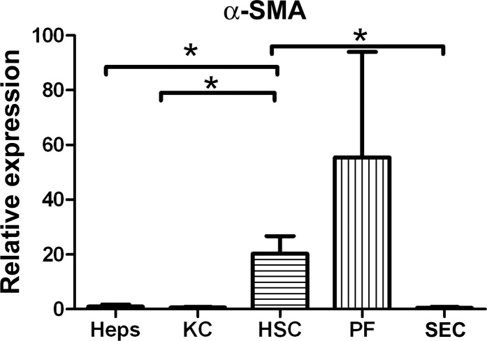 Fig. 9.