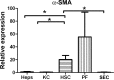 Fig. 9.