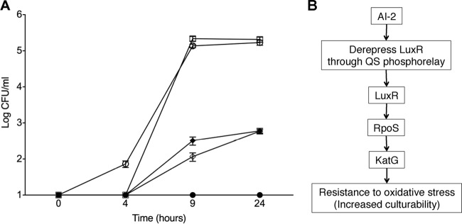 FIG 4