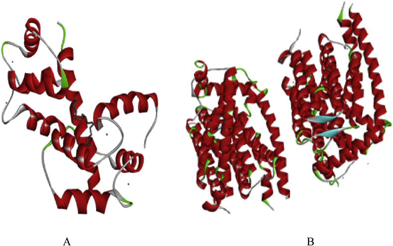 Fig. 1