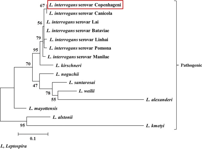 FIG 1