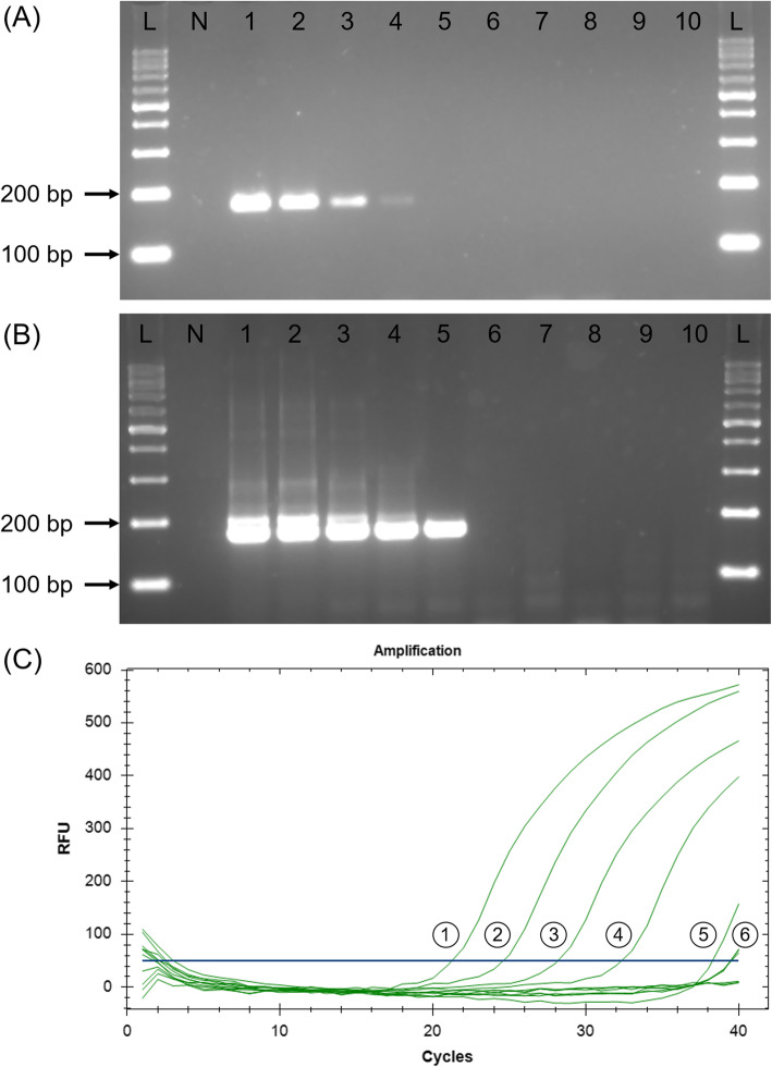 Fig. 7