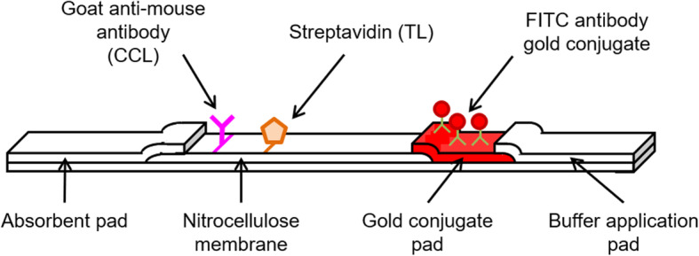 Fig. 2