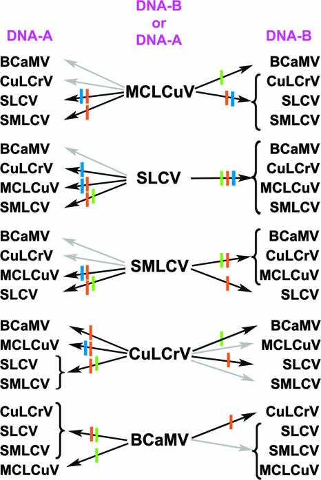 FIG. 3.