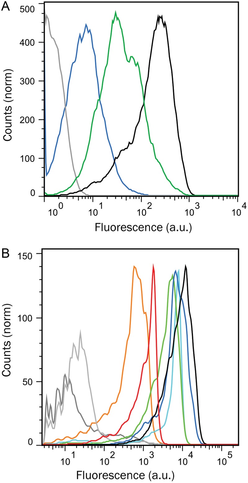 Fig. 6.