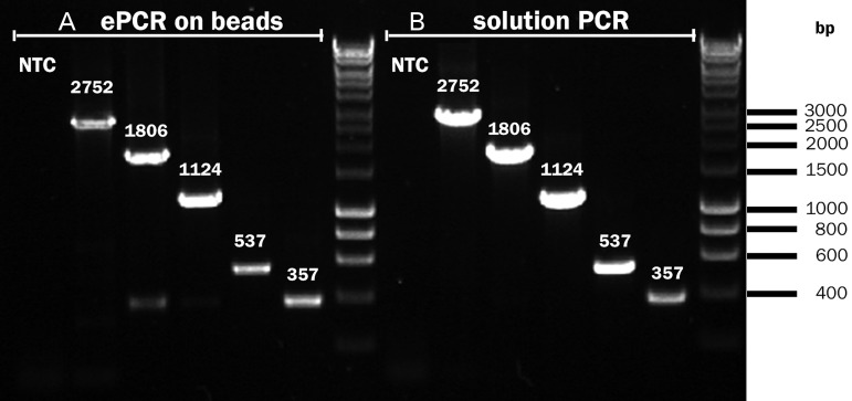 Fig. 4.