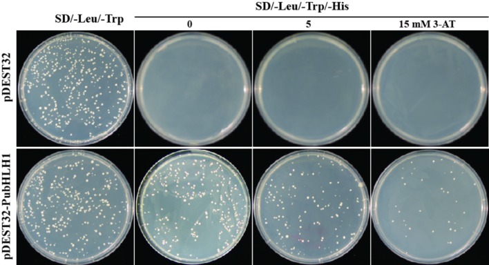 FIGURE 4