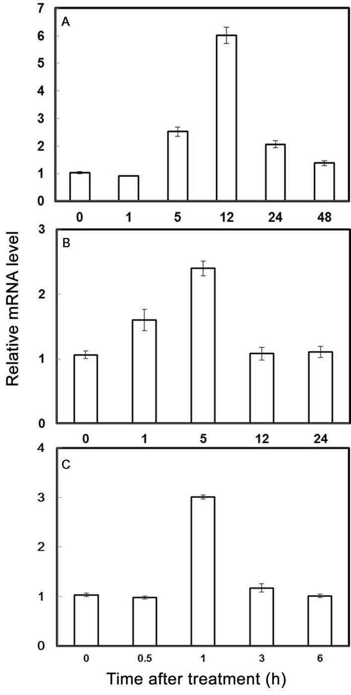 FIGURE 2