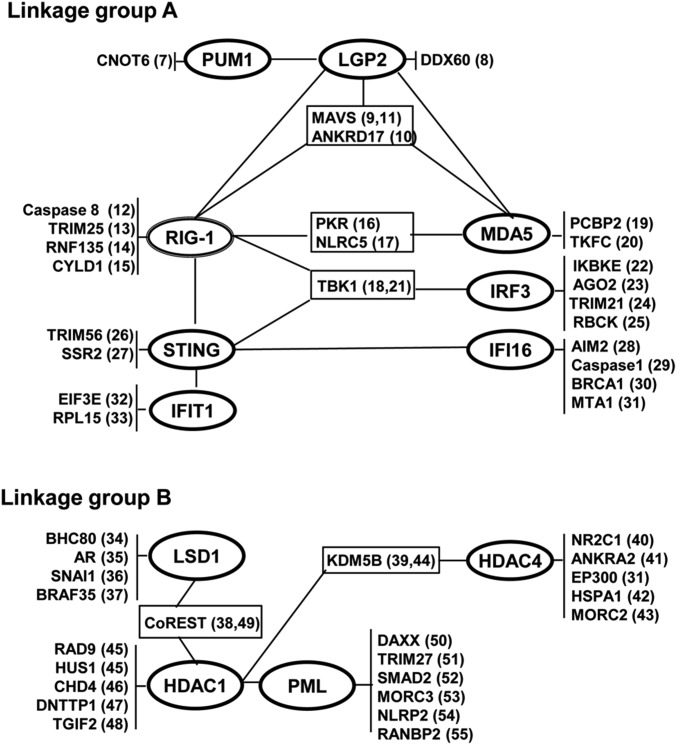 Fig. 8.