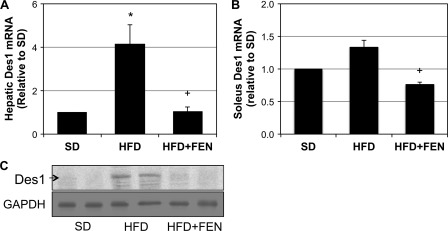 FIGURE 9.