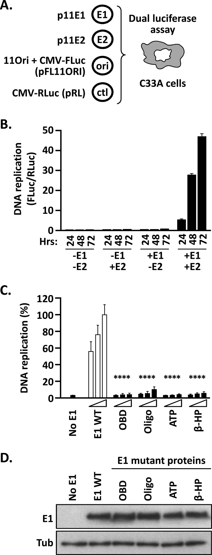 FIG 2