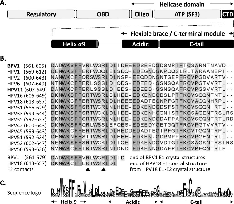 FIG 1