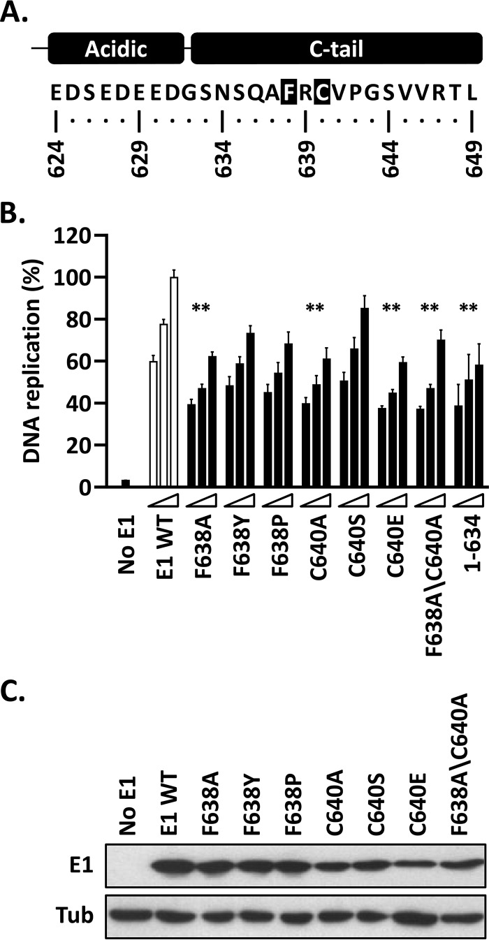 FIG 7