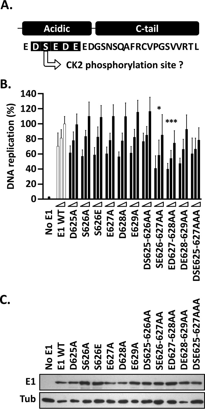 FIG 6