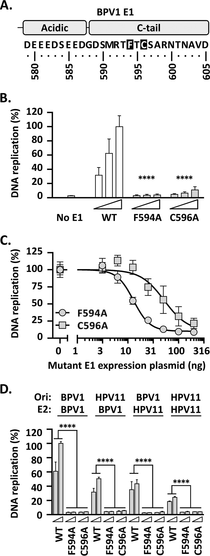 FIG 8