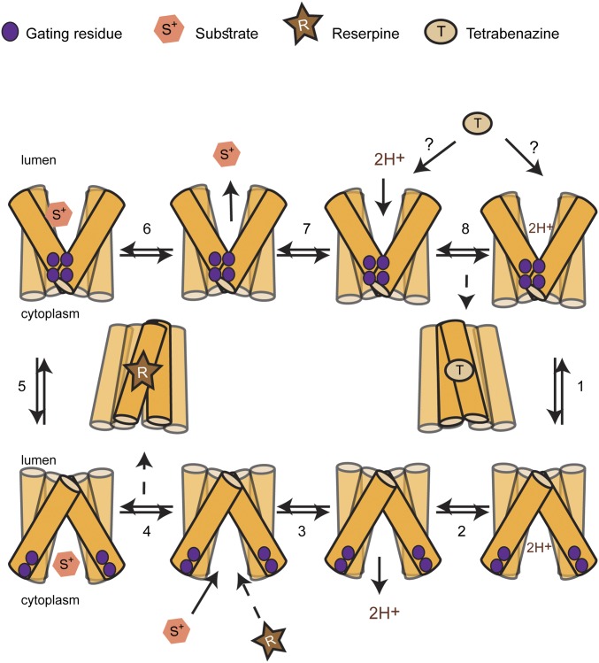 Fig. 6.