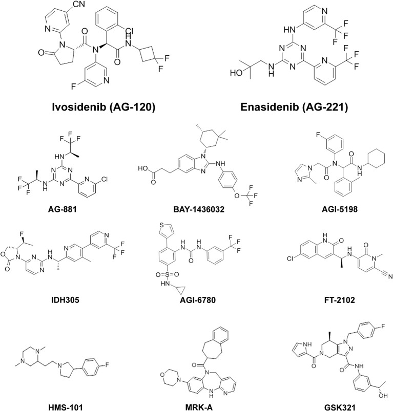 Mutant Isocitrate Dehydrogenase Inhibitors as Targeted Cancer ...