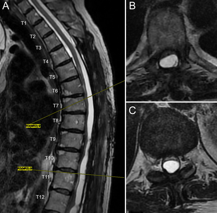 FIG. 1.