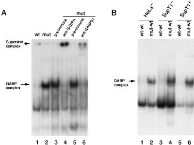 FIG. 5
