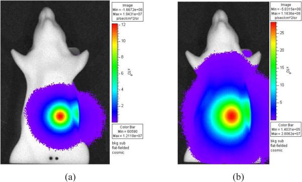 Fig. 9