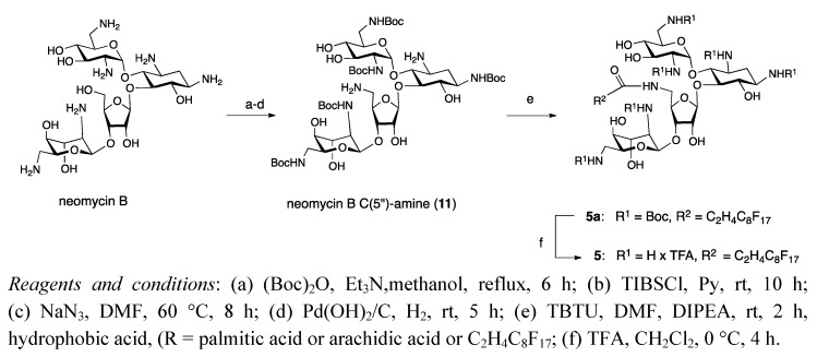 Scheme 1