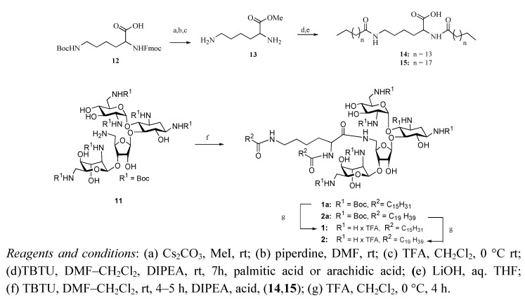 Scheme 2