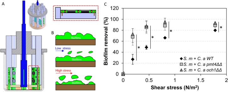 Fig 6