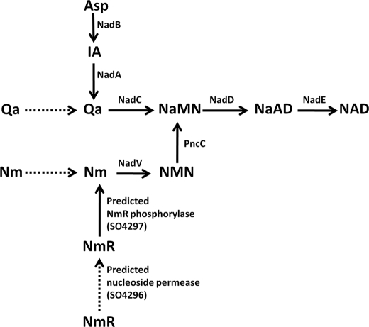 FIGURE 3.