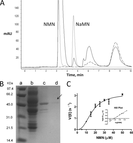 FIGURE 2.