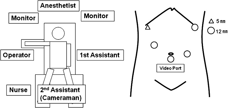 Fig. 1