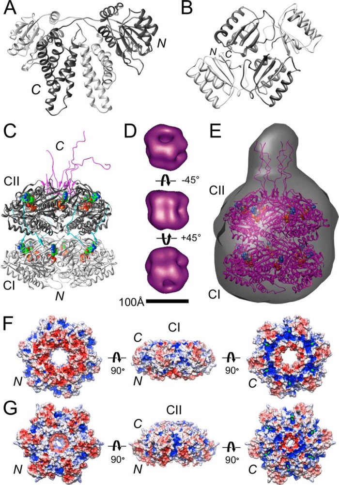 FIGURE 1.