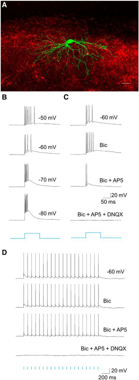 Figure 5.