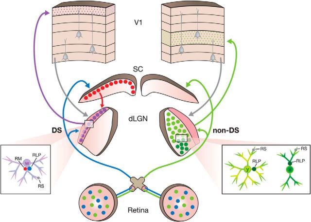 Figure 10.