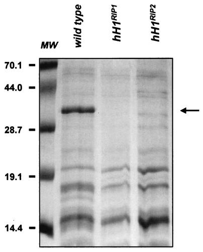 FIG. 4.