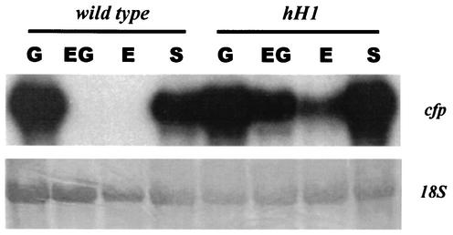 FIG. 7.