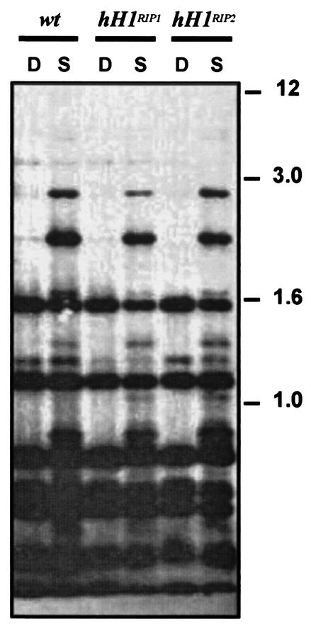 FIG. 5.