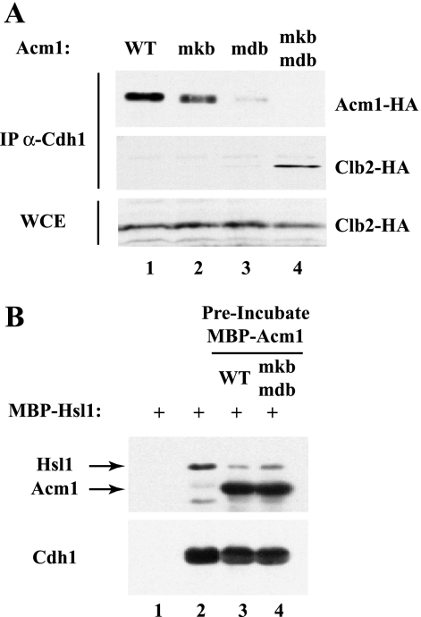 FIG. 4.