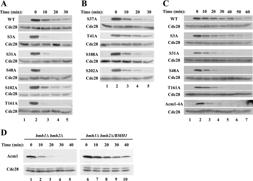 FIG. 8.