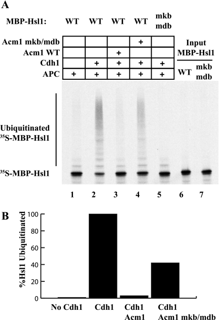 FIG. 5.