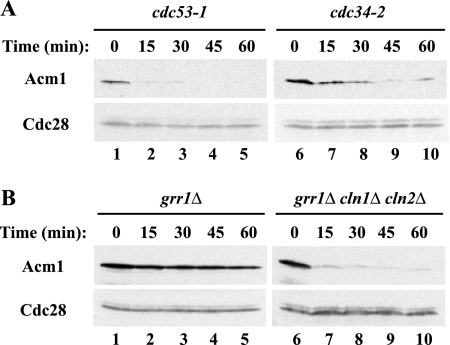 FIG. 6.