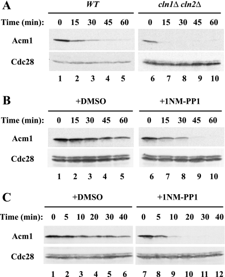 FIG. 7.