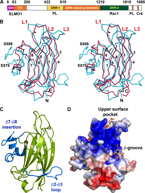 FIGURE 1.